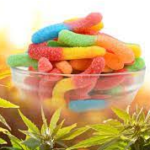 Carnival Cruise CBD Gummies Reviews Controversial Update and Warning