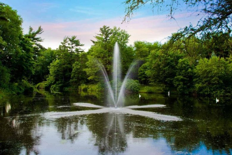 A Beginner's Guide to Setting Up and Maintaining a Trouble-Free Outdoor Fountain