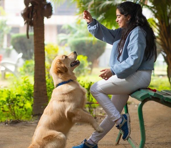Dog Training Isn't About Control, It's About Clear Communication That Dogs Understand