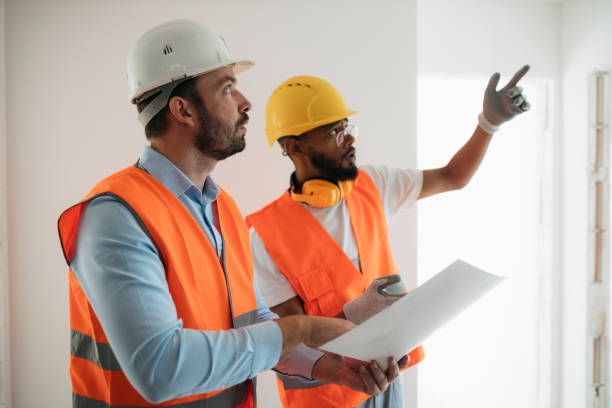 Specialist Survey Services in Chichester: Damp, Timber, and Insurance Valuations