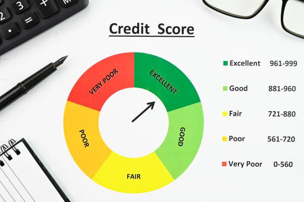 Business Credit Reports